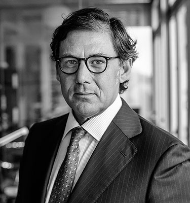 fernando sales bellido